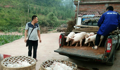 BETWAY������(����ķ��)�ٷ���վ-Official Platform