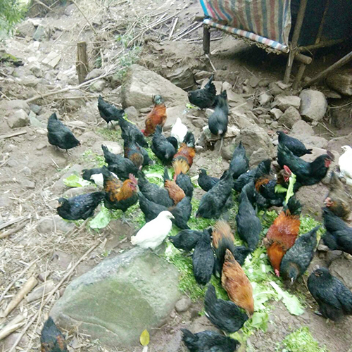 BETWAY������(����ķ��)�ٷ���վ-Official Platform