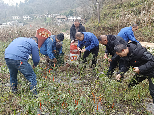 BETWAY������(����ķ��)�ٷ���վ-Official Platform