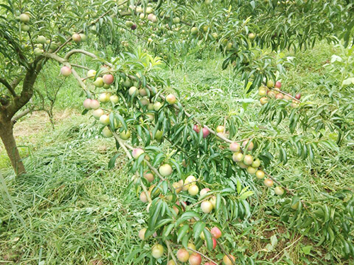 BETWAY������(����ķ��)�ٷ���վ-Official Platform