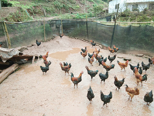 BETWAY������(����ķ��)�ٷ���վ-Official Platform